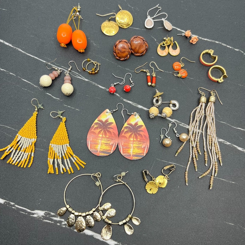 Bulk Wearable Jewelry Lot 19 Pcs Mixed Styles Earring Fashion Jewelry Collection